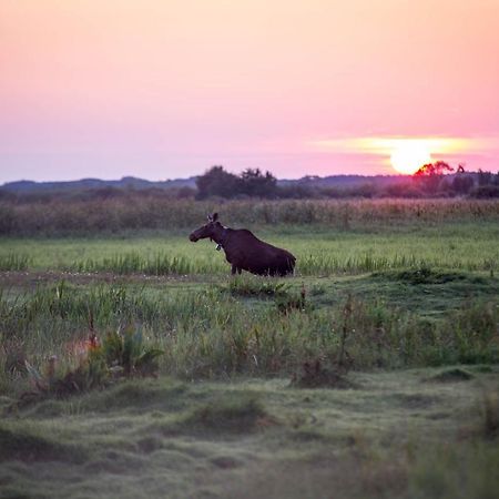 Domek Blisko Biebrzy Radzilow Eksteriør bilde